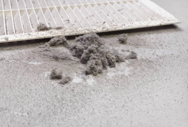 Best Air Duct Cleaning Near Me  in Brookings, OR
