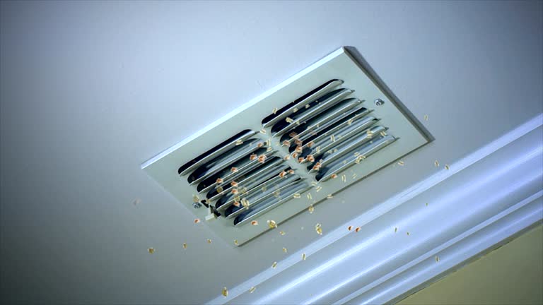 Affordable HVAC Duct Cleaning in Brookings, OR